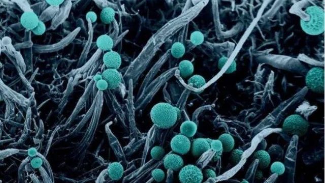 什么是高鹽廢水