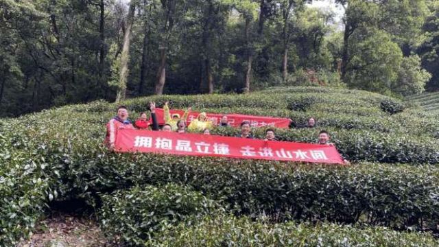 十里梅家塢，風景美如畫