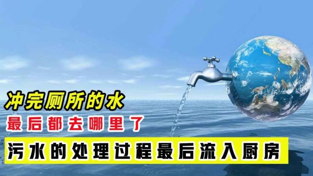 沖完廁所的水最后去哪里了？