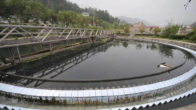 活性污泥10點經驗總結