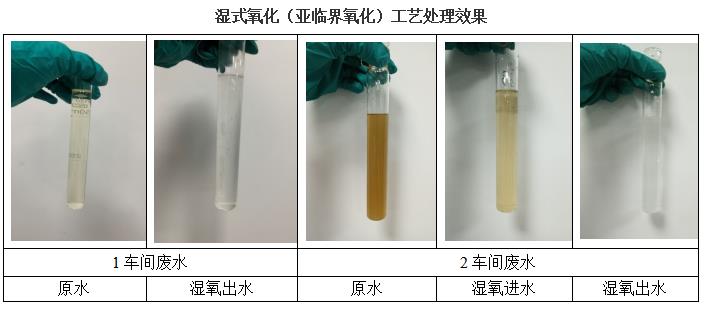 濕式氧化（亞臨界氧化）工藝處理效果